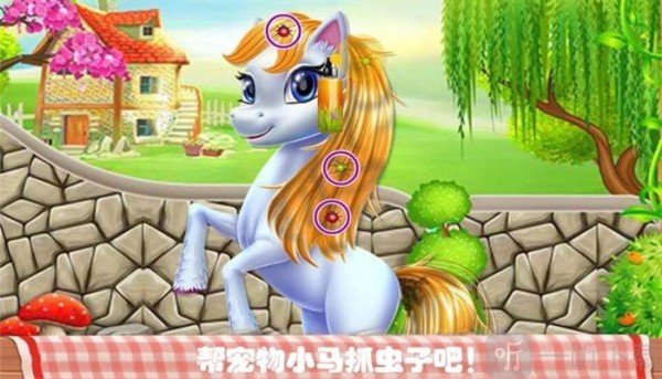 宠物化妆世界