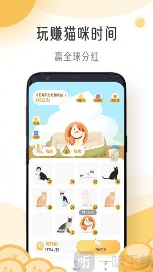 猫咪时间