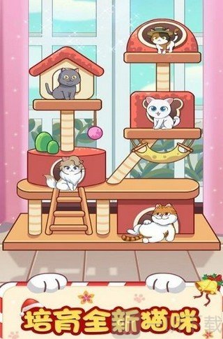 猫咪小家