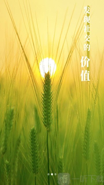 金聊