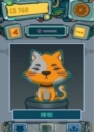 养猫实验