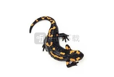明日方舟石棉是什么动物 明日方舟石棉动物原型是什么