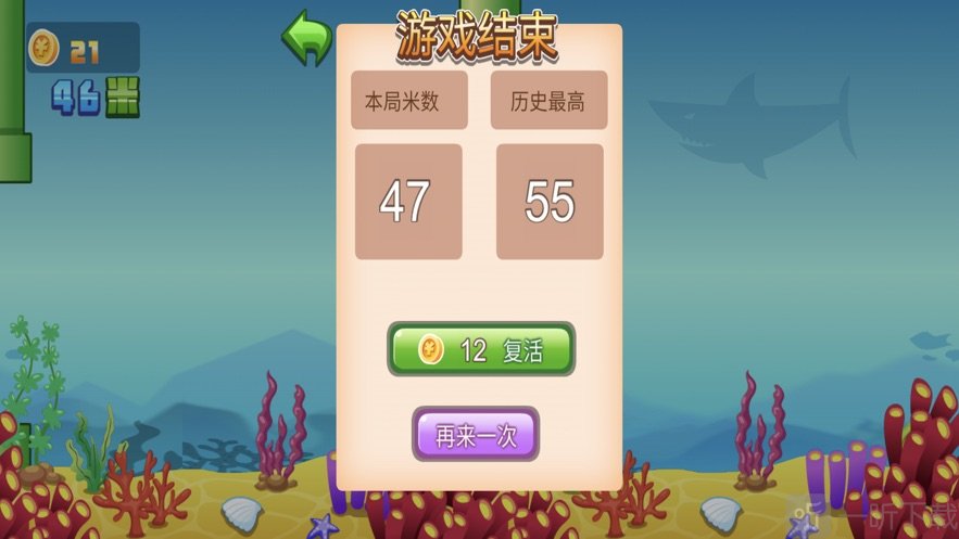 猪猪漫游记