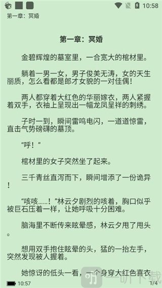 掌民小说