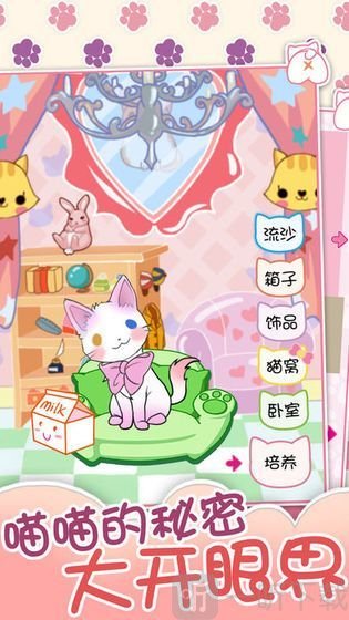 喵大人物语