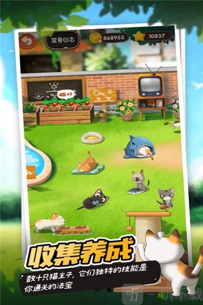 猫语咖啡