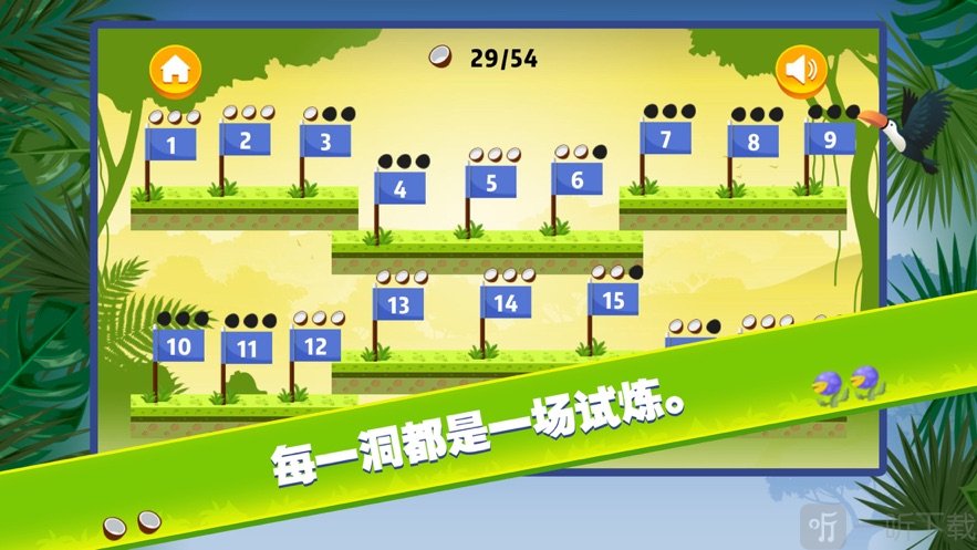 小金雨林球赛