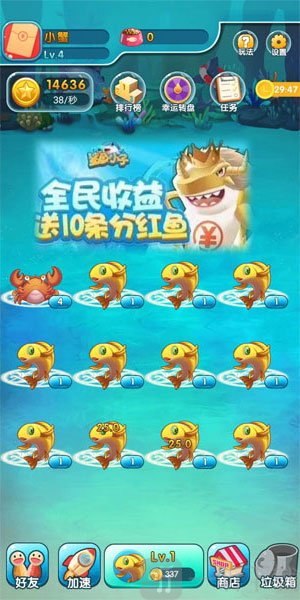 鲨鱼小子