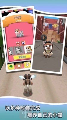 小猫跑酷