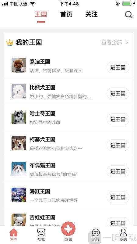 宠物王国