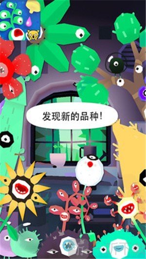 小小植物园