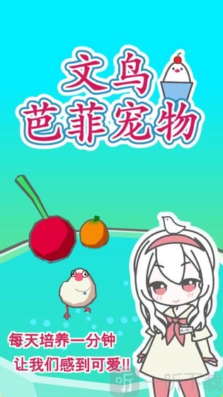 文鸟芭菲宠物