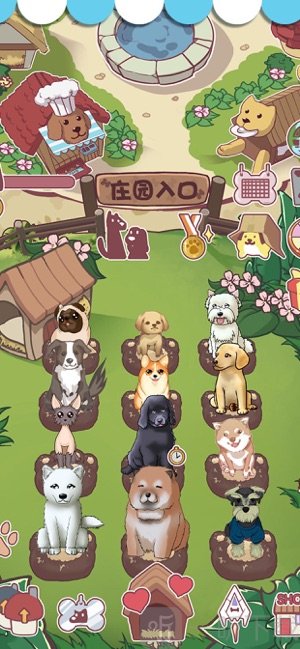 狗狗物语