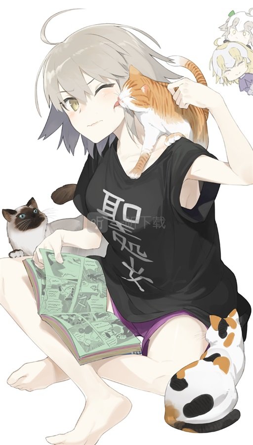fgo6月1日維護更新內容 fgo6月1日維護更新了什么