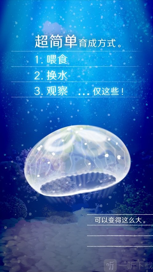 养育水母的治愈游戏