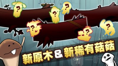 究极菇菇栽培研究室