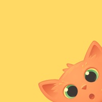 猫猫出来