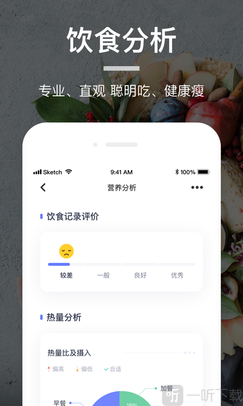 薄荷营养师