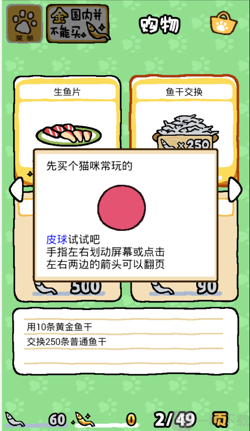 猫咪后院