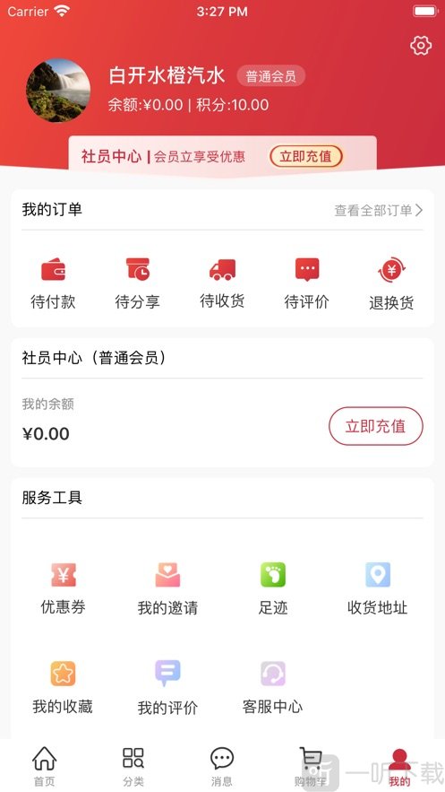 晓百合