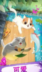 可爱的猫咪花园