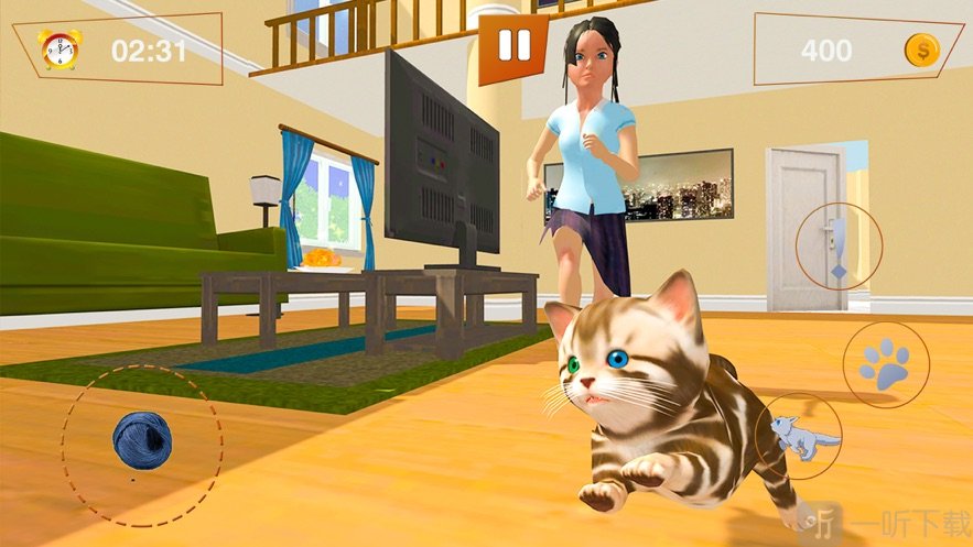 我的小猫小猫战士猫