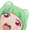 宝宝本宝