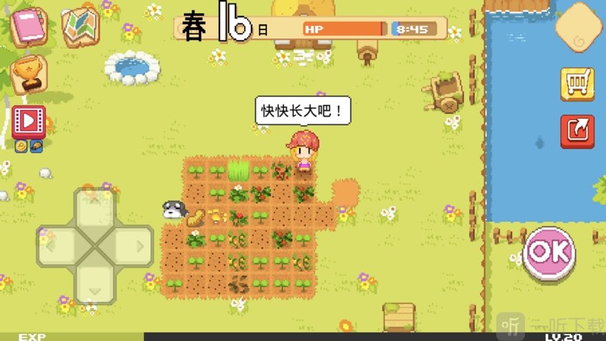 公主的农场故事