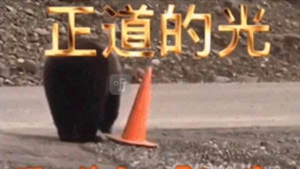 種豆得瓜是什么歌 種豆得瓜是什么梗