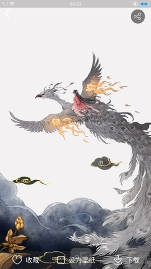精美主题壁纸