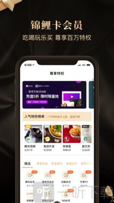 锦鲤团