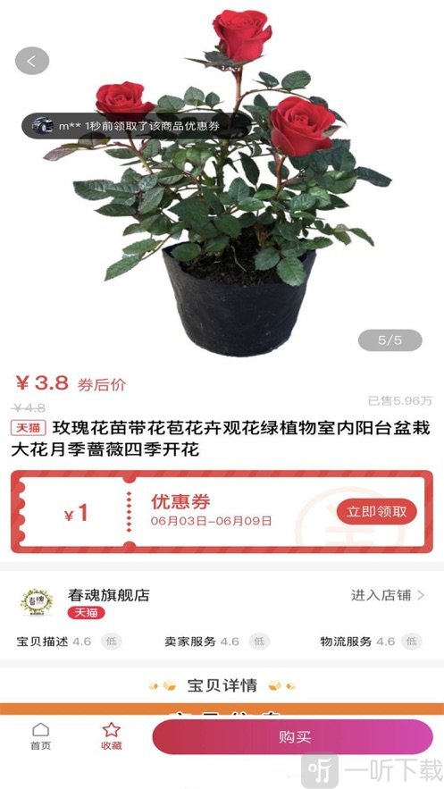 柚街