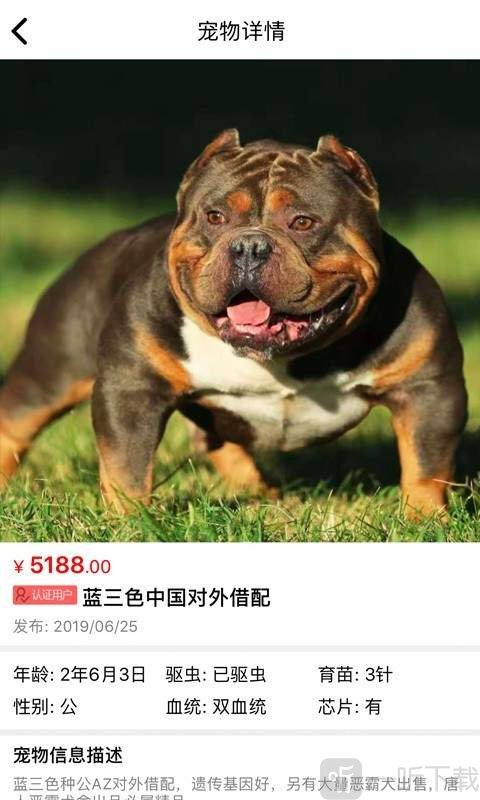 猫行狗市