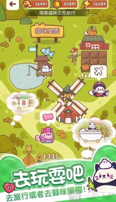 加加喵