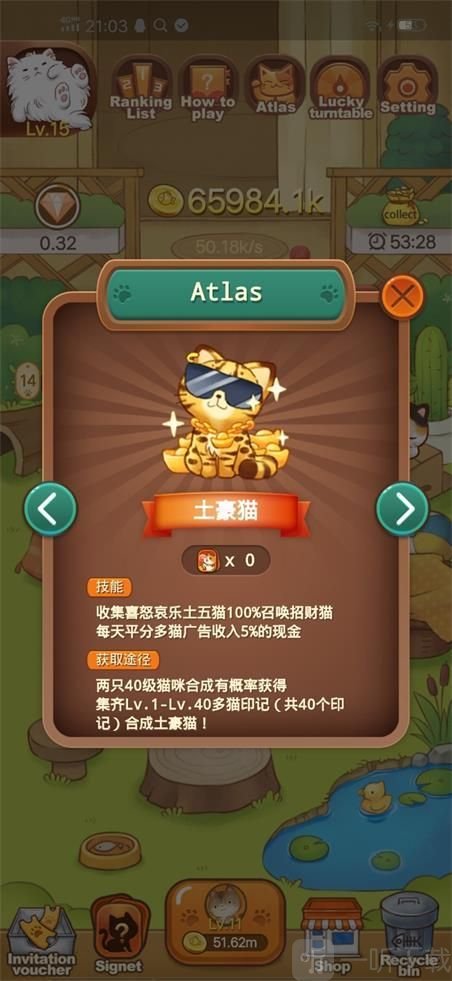 小猫别浪
