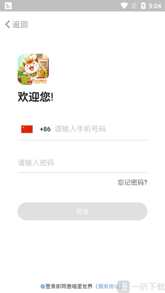 小猫别浪