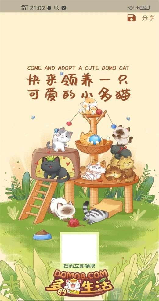 小猫别浪