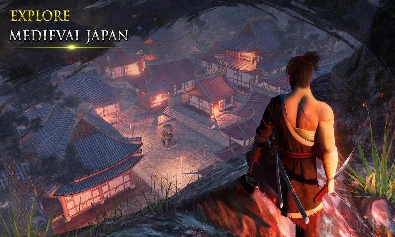 忍者武士隆无限金币版