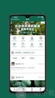 桃李红