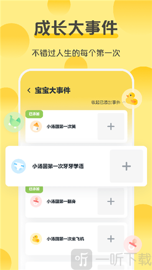 芝士宝贝