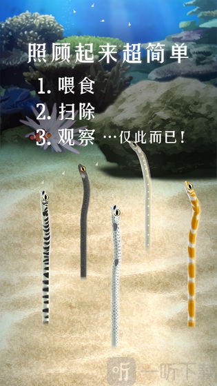 养育花园鳗的治愈