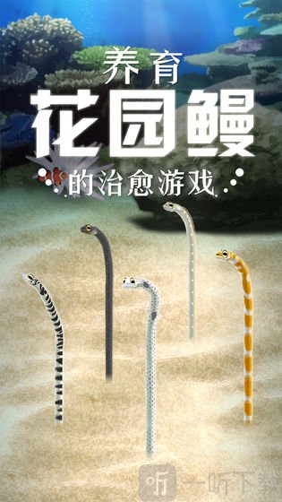 养育花园鳗的治愈
