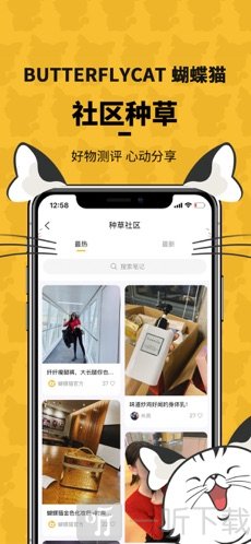 蝴蝶猫