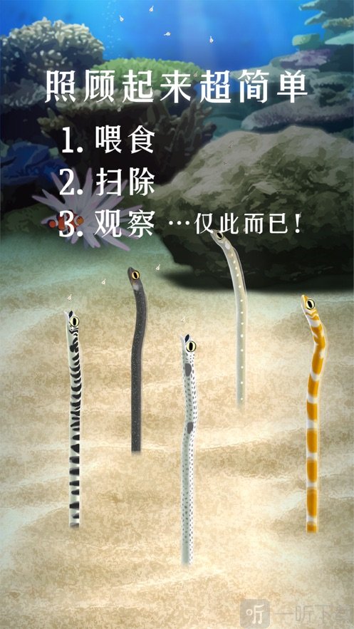 养育花园鳗的治愈游戏