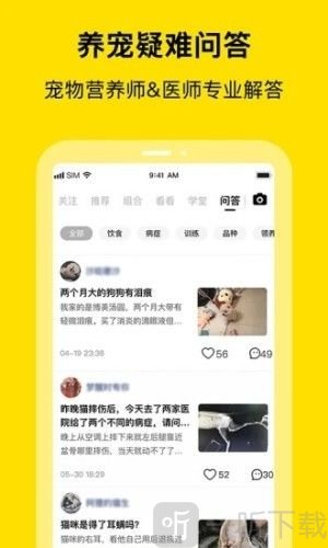 喵喵互助