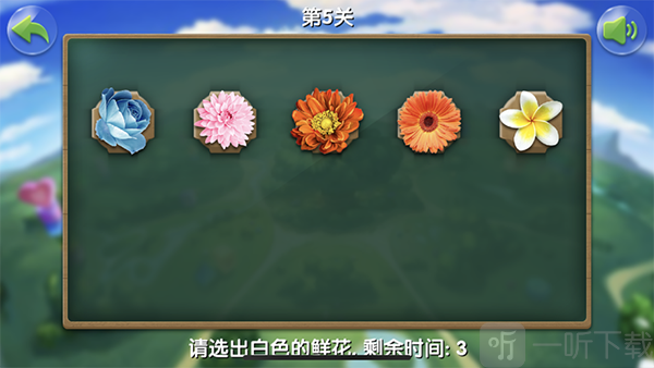 鲜花天天记