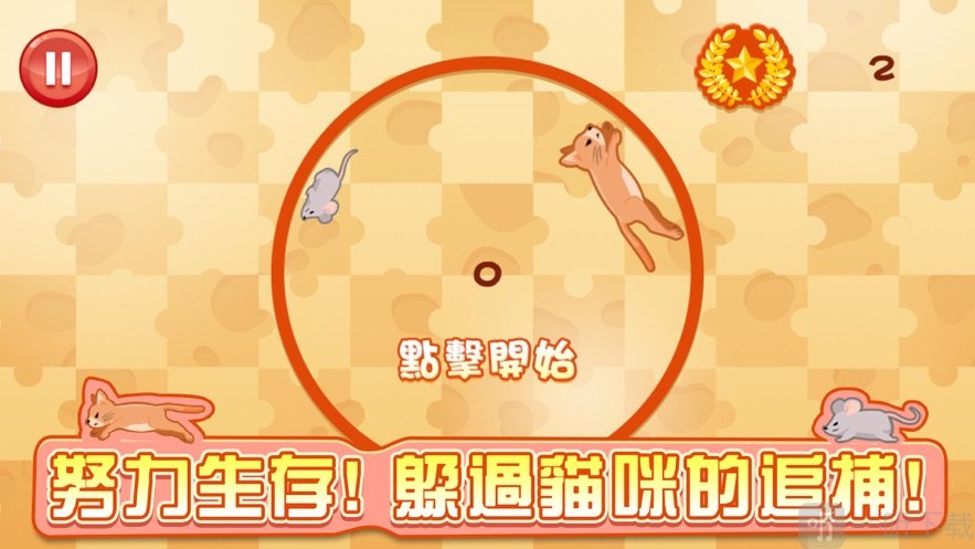 新耗猫追踪