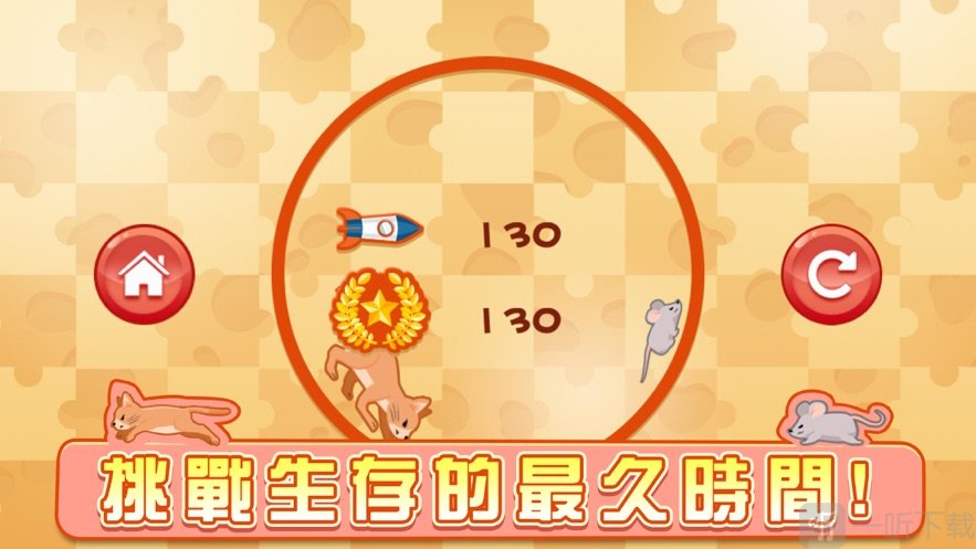 新耗猫追踪