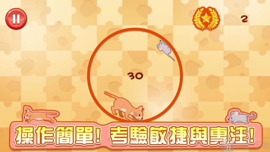 新耗猫追踪