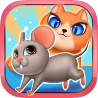 新耗猫追踪